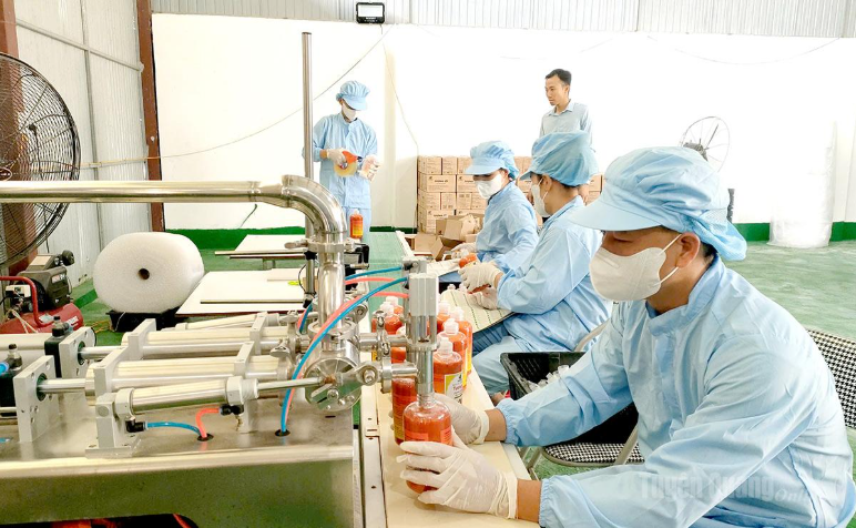 Phát triển hợp tác xã đa ngành, đa dịch vụ